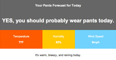 Daily forecast email