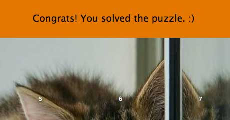 Solved puzzle on desktop